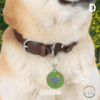 Customizable Pet Tag - Personalized Best Friend Name & Acquired Date Vintage Grunge Doodle Style Heart Design - Image 5